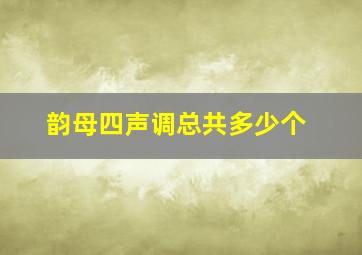 韵母四声调总共多少个