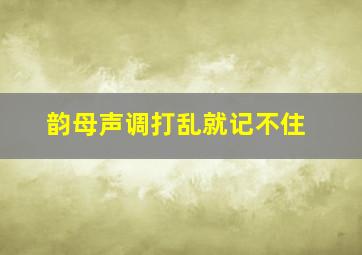 韵母声调打乱就记不住