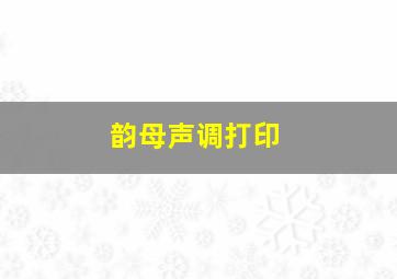 韵母声调打印