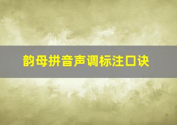 韵母拼音声调标注口诀