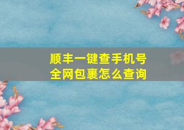 顺丰一键查手机号全网包裹怎么查询