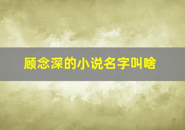 顾念深的小说名字叫啥