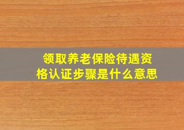 领取养老保险待遇资格认证步骤是什么意思