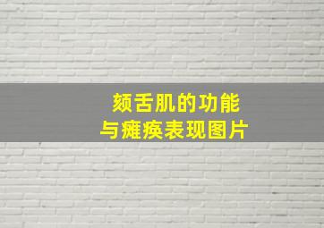 颏舌肌的功能与瘫痪表现图片