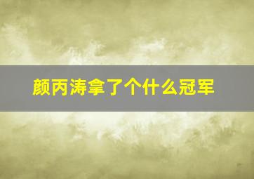 颜丙涛拿了个什么冠军