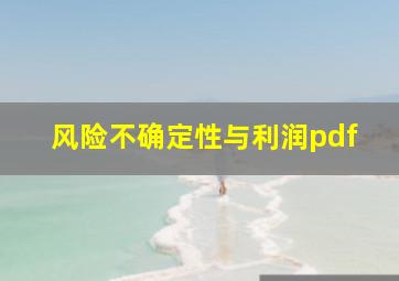 风险不确定性与利润pdf