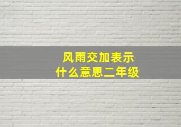 风雨交加表示什么意思二年级