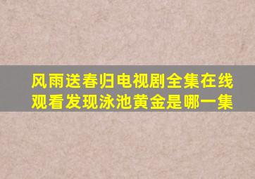 风雨送春归电视剧全集在线观看发现泳池黄金是哪一集