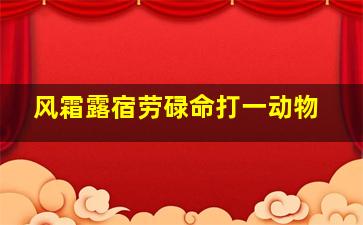 风霜露宿劳碌命打一动物