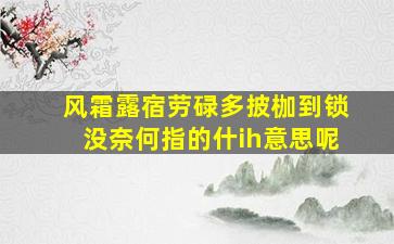 风霜露宿劳碌多披枷到锁没奈何指的什ih意思呢