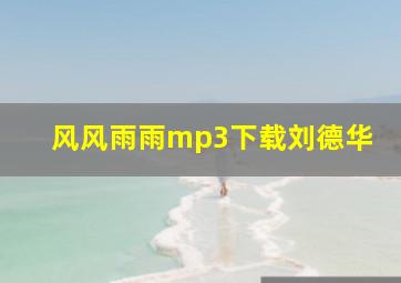 风风雨雨mp3下载刘德华