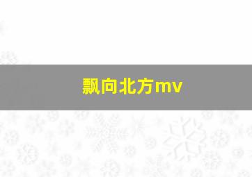 飘向北方mv