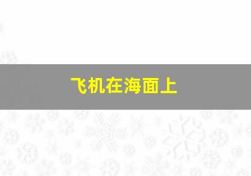 飞机在海面上