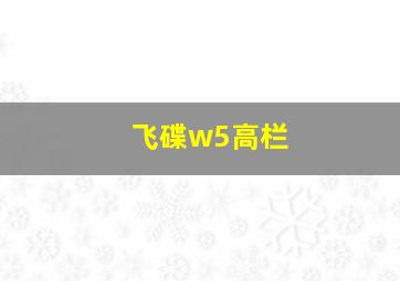 飞碟w5高栏