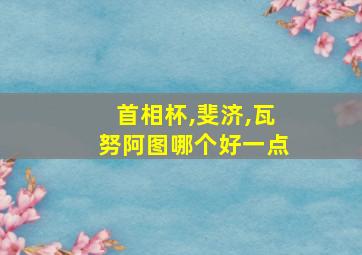 首相杯,斐济,瓦努阿图哪个好一点