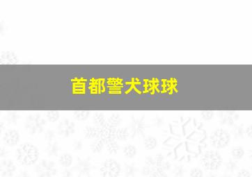 首都警犬球球