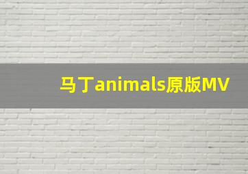 马丁animals原版MV