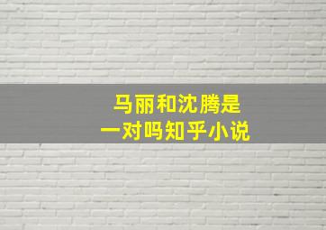 马丽和沈腾是一对吗知乎小说