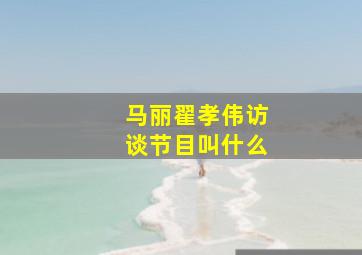 马丽翟孝伟访谈节目叫什么