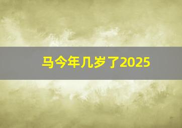 马今年几岁了2025