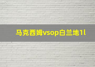 马克西姆vsop白兰地1l