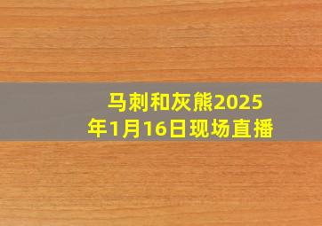 马刺和灰熊2025年1月16日现场直播