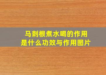 马刺根煮水喝的作用是什么功效与作用图片