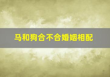 马和狗合不合婚姻相配