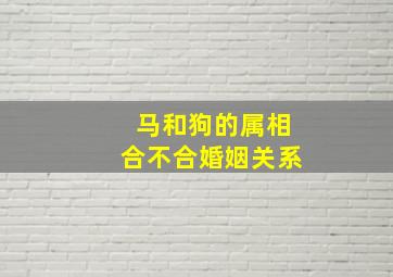 马和狗的属相合不合婚姻关系