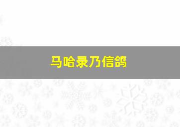 马哈录乃信鸽