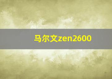 马尔文zen2600