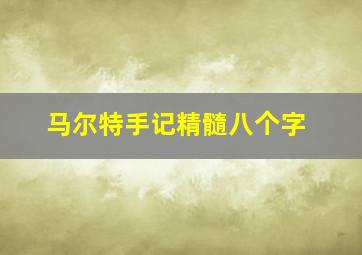 马尔特手记精髓八个字