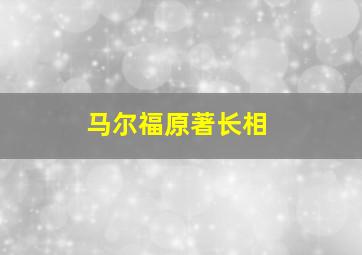 马尔福原著长相