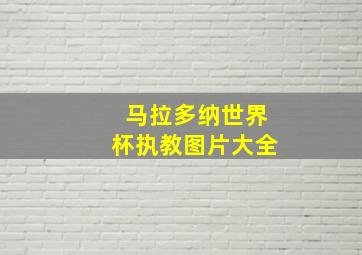 马拉多纳世界杯执教图片大全