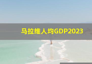 马拉维人均GDP2023