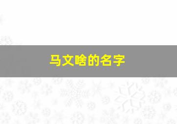 马文啥的名字