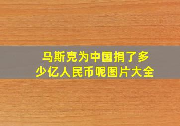 马斯克为中国捐了多少亿人民币呢图片大全