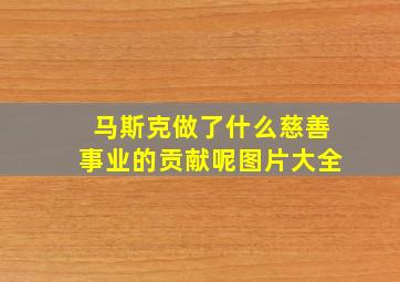 马斯克做了什么慈善事业的贡献呢图片大全