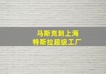 马斯克到上海特斯拉超级工厂