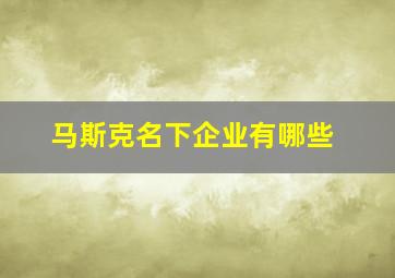 马斯克名下企业有哪些