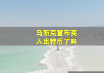 马斯克宣布买入比特币了吗