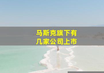 马斯克旗下有几家公司上市