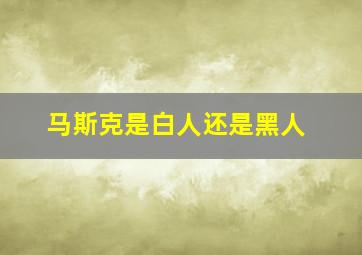 马斯克是白人还是黑人