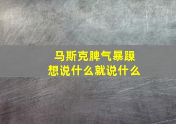 马斯克脾气暴躁想说什么就说什么