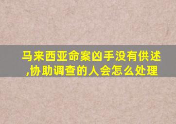 马来西亚命案凶手没有供述,协助调查的人会怎么处理