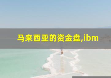 马来西亚的资金盘,ibm