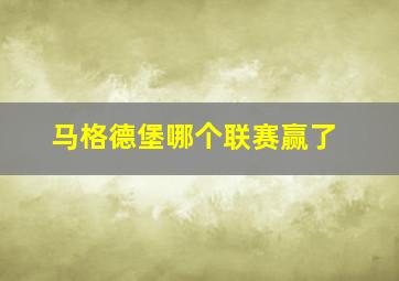 马格德堡哪个联赛赢了