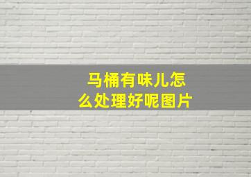 马桶有味儿怎么处理好呢图片