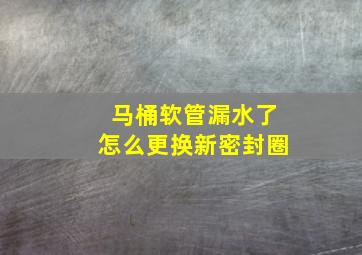 马桶软管漏水了怎么更换新密封圈