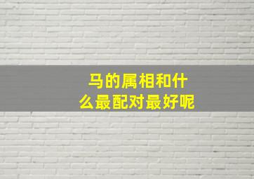 马的属相和什么最配对最好呢